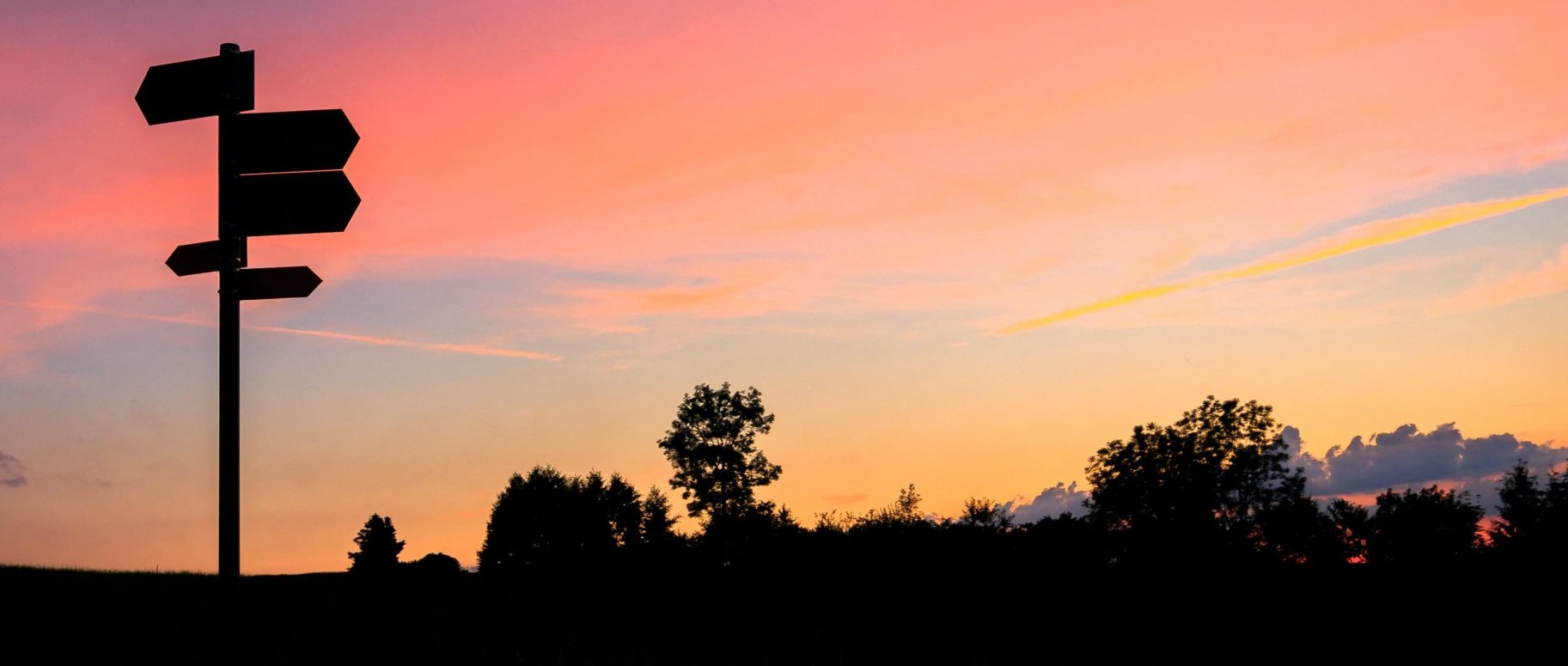 La D.Esp como una decisión vital